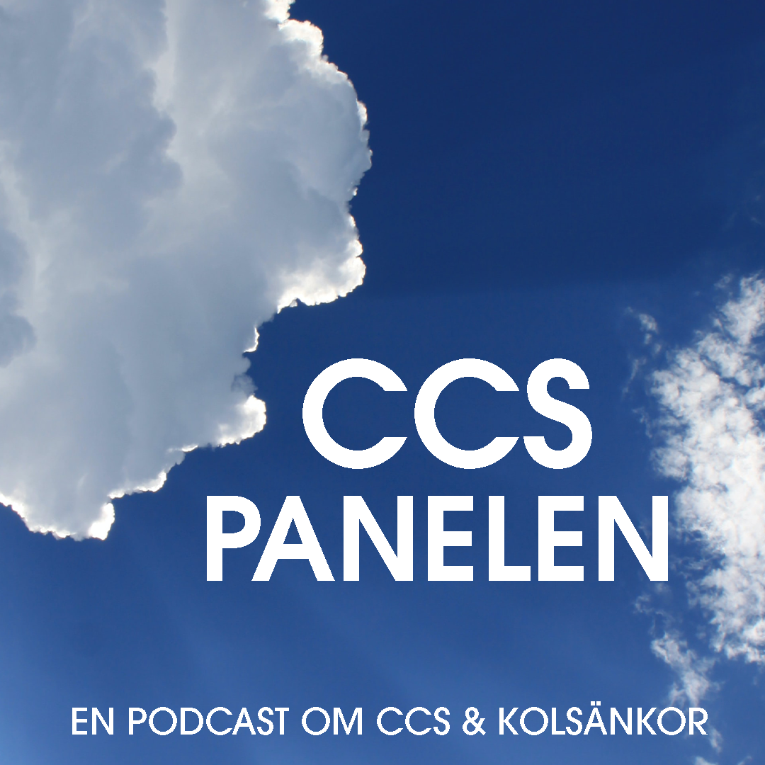 CCS panelen